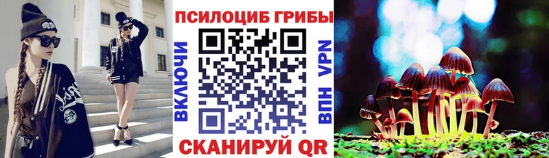 МЕГА маркетплейс  Байкальск  Галлюциногенные грибы Psilocybe 